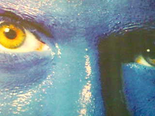 Bild(21)