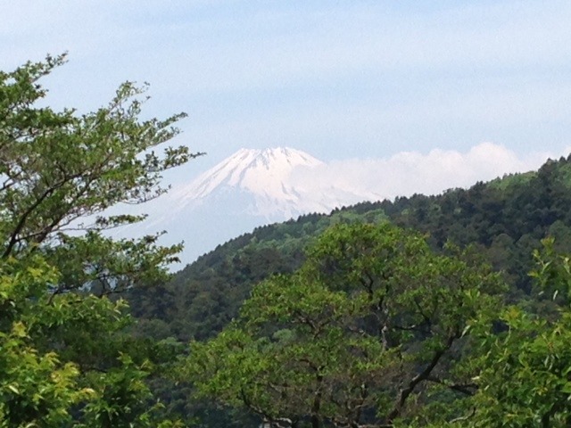 Fuji-san