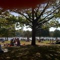 Hyde park - wir sind nicht allein