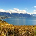 Workshop Aussicht